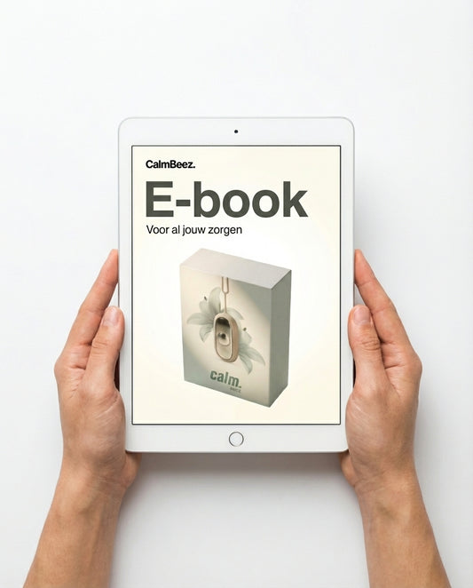 E-Book